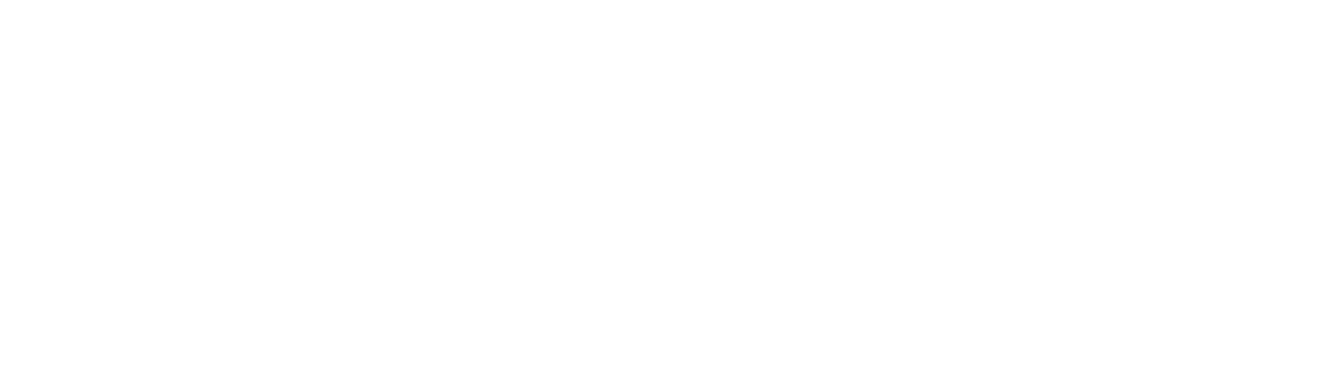 Brill Sicherheitssysteme Logo